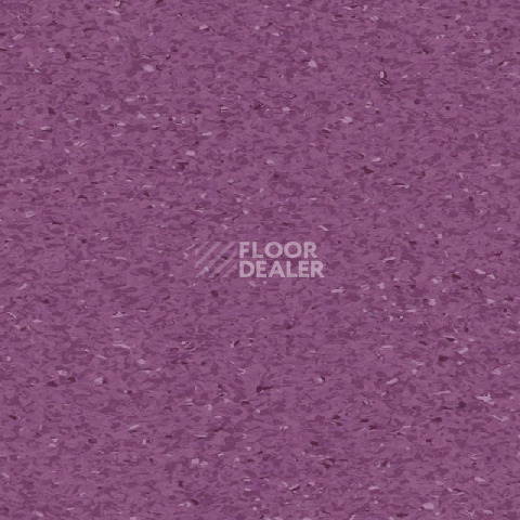 Линолеум Tarkett iQ Granit MEDIUM VIOLET 0451 фото 1 | FLOORDEALER